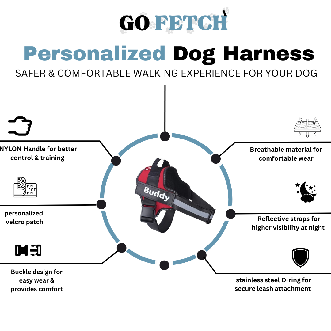 Go Fetch | Personalized no pull dog harness