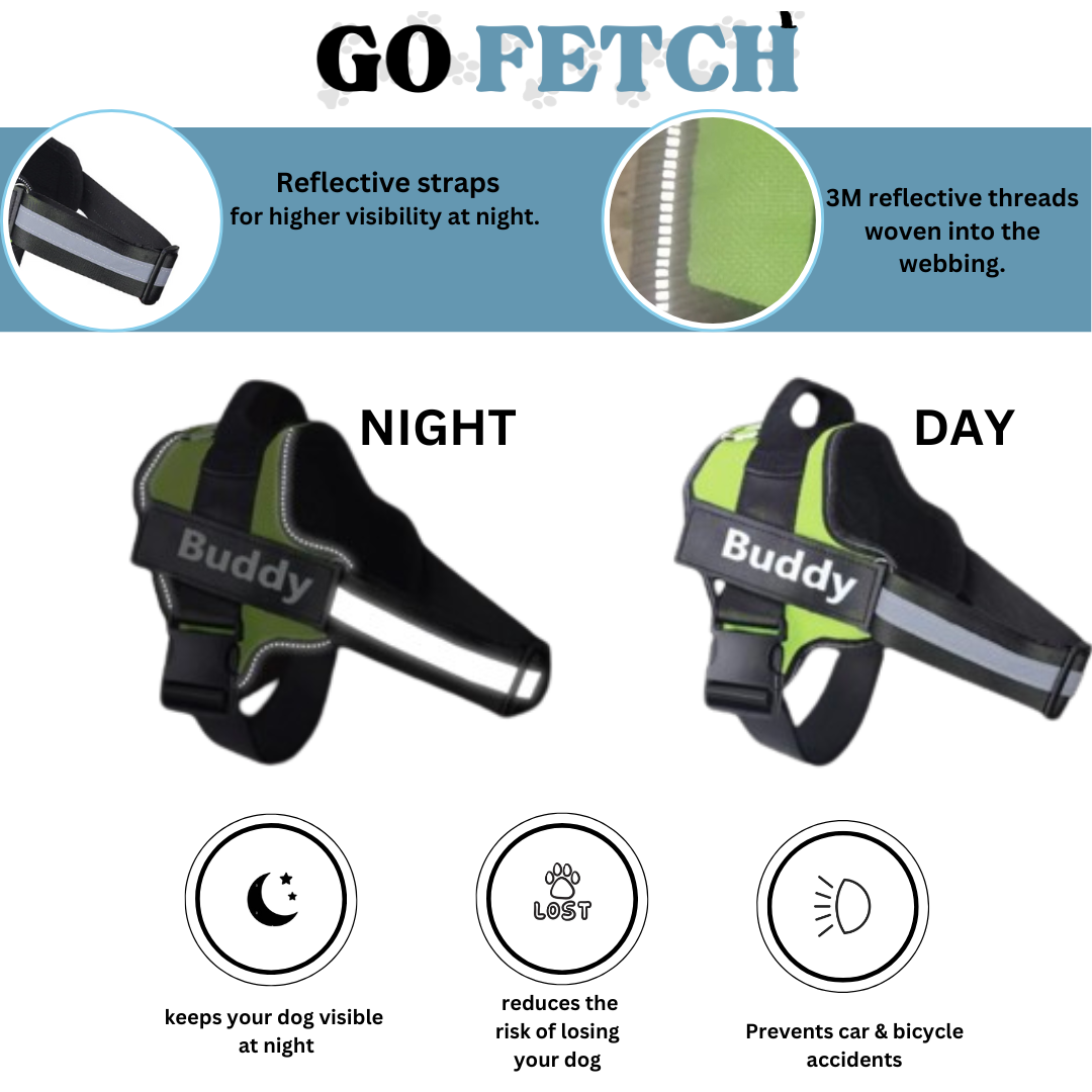 Go Fetch | Personalized no pull dog harness